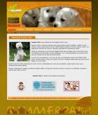 Nueva web Summer Path (summerpath.es)